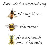 Arschloch mit Flügel - Tshirt Wespe Imker Bienen Spass Lustig Funshirt 6XL